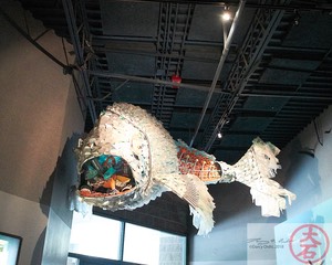 ABQ BioPark IMG_8935